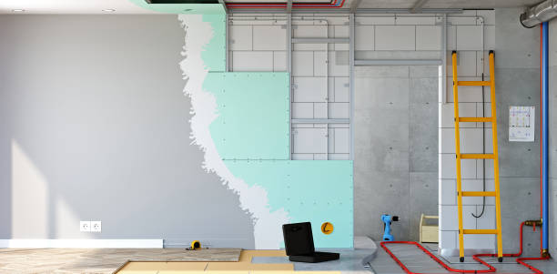 Best Emergency Mold Remediation  in Georgetown, IL