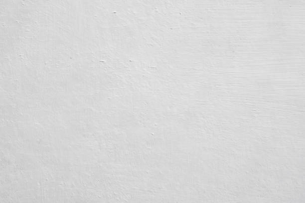 Mold Remediation for Vacation Homes in Georgetown, IL