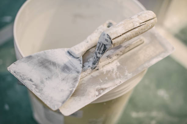 Best Comprehensive Air Testing for Mold Contaminants  in Georgetown, IL